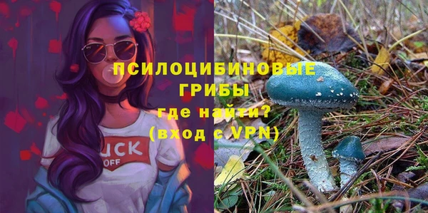 2c-b Белоозёрский