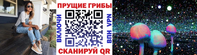 Псилоцибиновые грибы MAGIC MUSHROOMS  Печора 