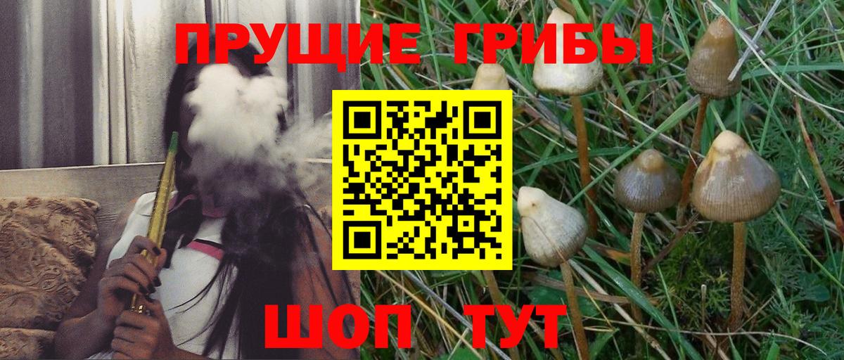 Галлюциногенные грибы Cubensis Печора