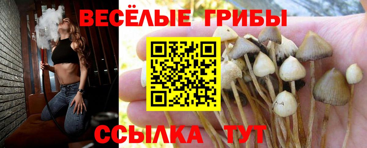Псилоцибиновые грибы мицелий  Вход с VPN  Печора 